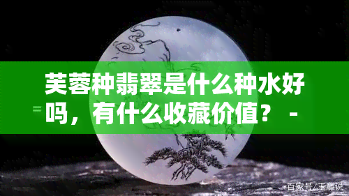 芙蓉种翡翠是什么种水好吗，有什么收藏价值？ - 翡翠