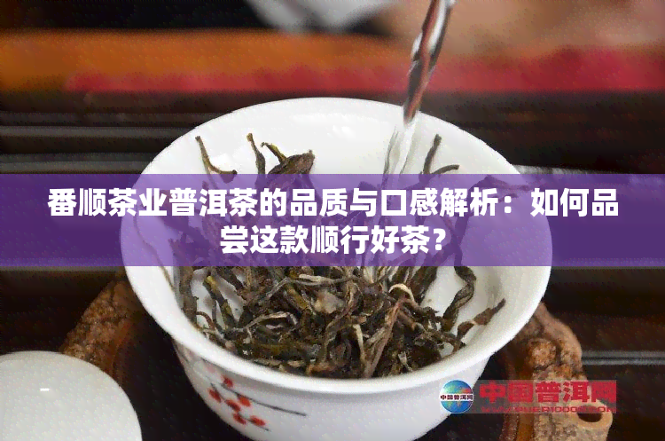 番顺茶业普洱茶的品质与口感解析：如何品尝这款顺行好茶？