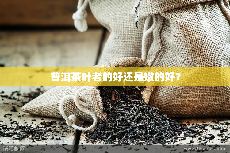 普洱茶叶老的好还是嫩的好？