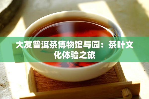 大友普洱茶博物馆与园：茶叶文化体验之旅