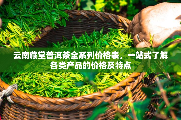 云南藏堂普洱茶全系列价格表，一站式了解各类产品的价格及特点
