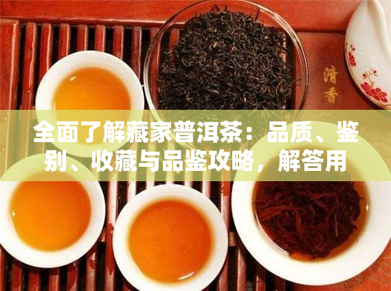 全面了解藏家普洱茶：品质、鉴别、收藏与品鉴攻略，解答用户所有疑问