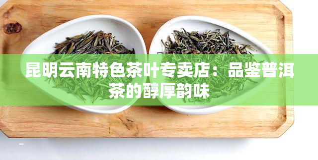 昆明云南特色茶叶专卖店：品鉴普洱茶的醇厚韵味
