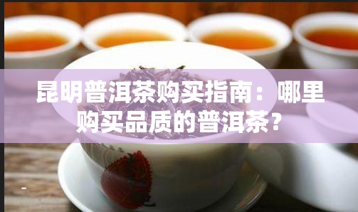 昆明普洱茶购买指南：哪里购买品质的普洱茶？
