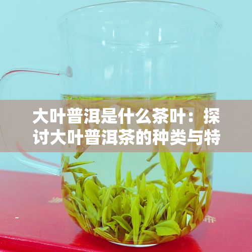 大叶普洱是什么茶叶：探讨大叶普洱茶的种类与特点