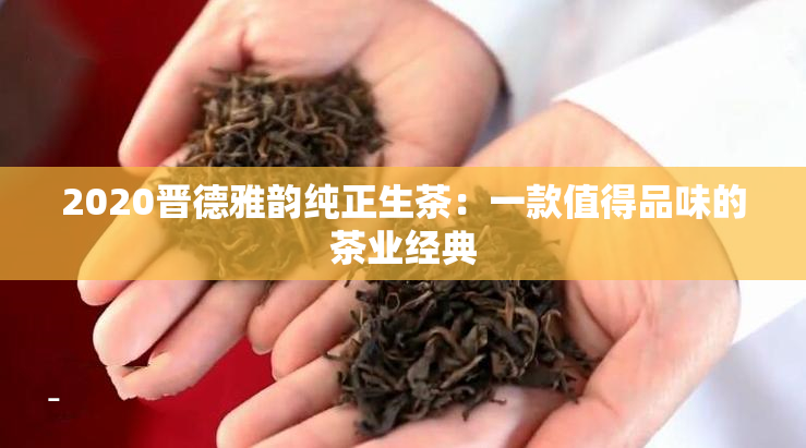 2020晋德雅韵纯正生茶：一款值得品味的茶业经典