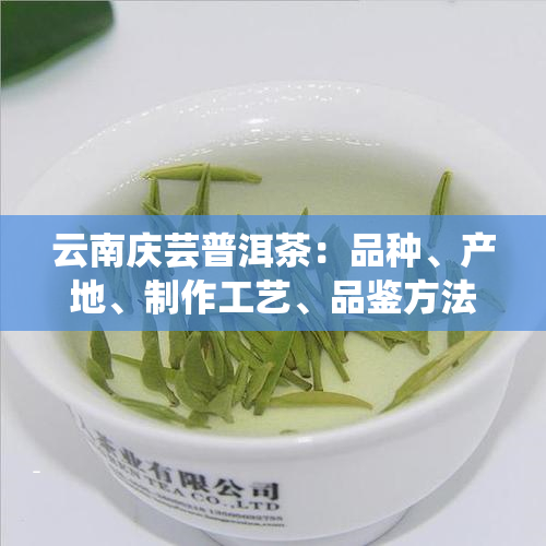 云南庆芸普洱茶：品种、产地、制作工艺、品鉴方法以及收藏价值全方位解析