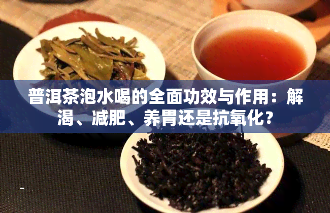 普洱茶泡水喝的全面功效与作用：解渴、减肥、养胃还是抗氧化？