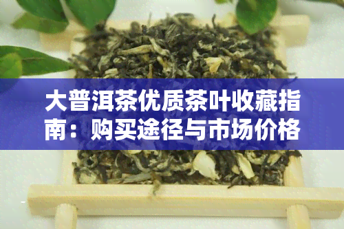 大普洱茶优质茶叶收藏指南：购买途径与市场价格分析