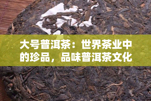 大号普洱茶：世界茶业中的珍品，品味普洱茶文化之美