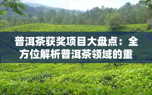 普洱茶获奖项目大盘点：全方位解析普洱茶领域的重要奖项与成就