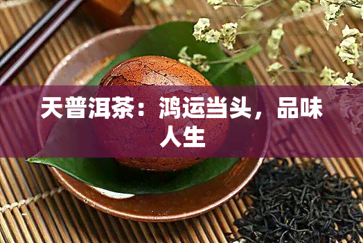 天普洱茶：鸿运当头，品味人生