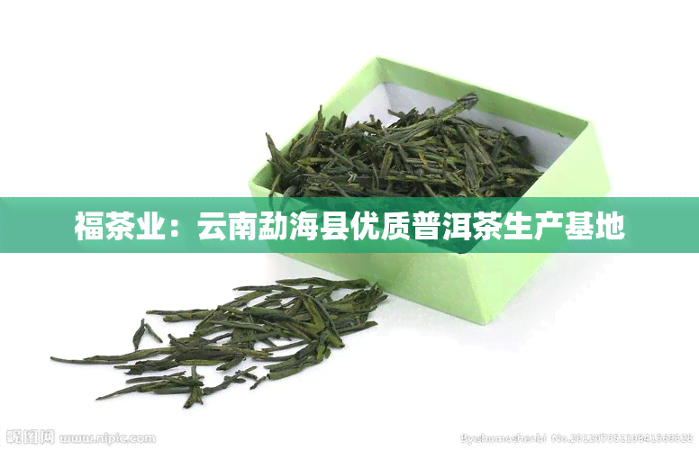 福茶业：云南勐海县优质普洱茶生产基地