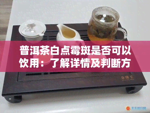 普洱茶白点霉斑是否可以饮用：了解详情及判断方法