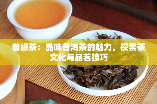 善缘茶：品味普洱茶的魅力，探索茶文化与品茗技巧