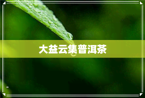 大益云集普洱茶