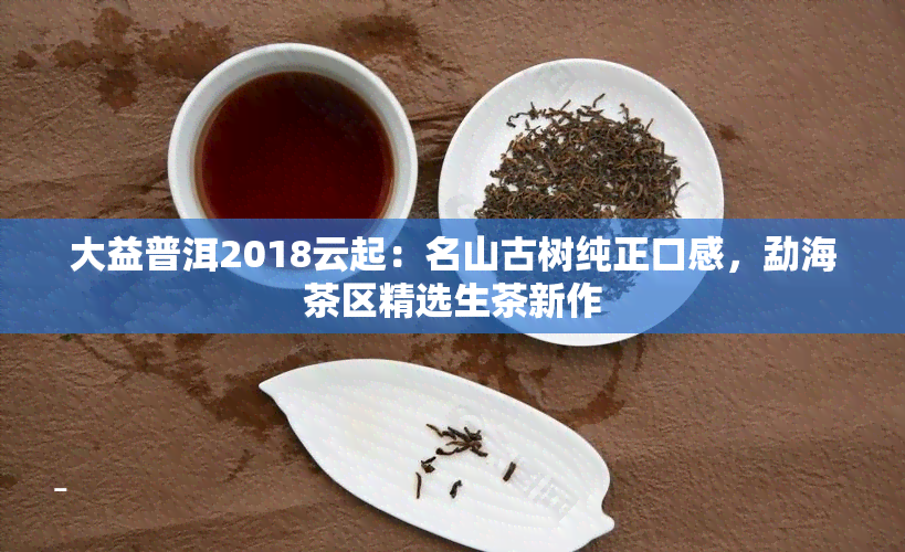 大益普洱2018云起：名山古树纯正口感，勐海茶区精选生茶新作