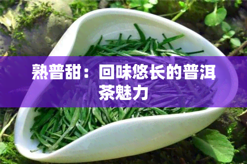 熟普甜：回味悠长的普洱茶魅力