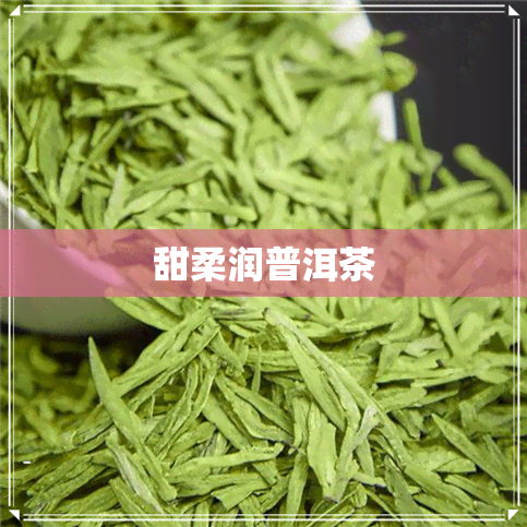 甜柔润普洱茶