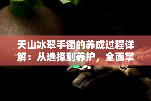 天山冰翠手镯的养成过程详解：从选择到养护，全面掌握手镯的神奇魅力