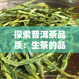 探索普洱茶品质：生茶的品饮指标与评估标准