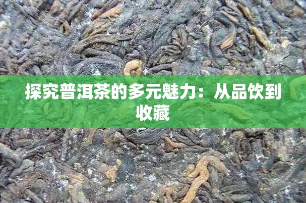 探究普洱茶的多元魅力：从品饮到收藏