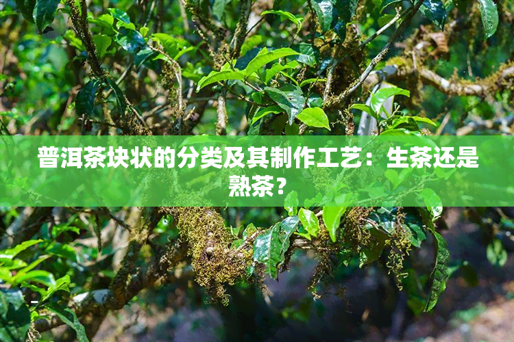 普洱茶块状的分类及其制作工艺：生茶还是熟茶？