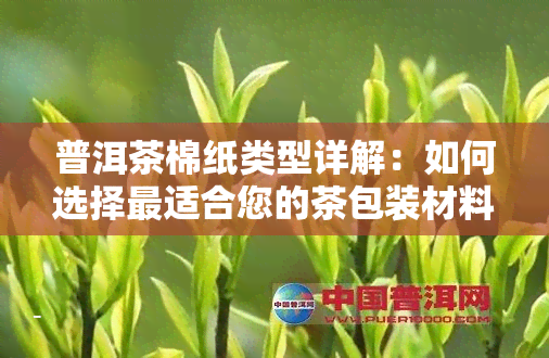 普洱茶棉纸类型详解：如何选择最适合您的茶包装材料？