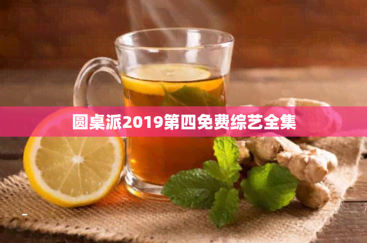 圆桌派2019第四免费综艺全集