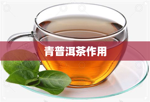 青普洱茶作用