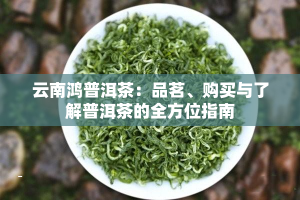 云南鸿普洱茶：品茗、购买与了解普洱茶的全方位指南