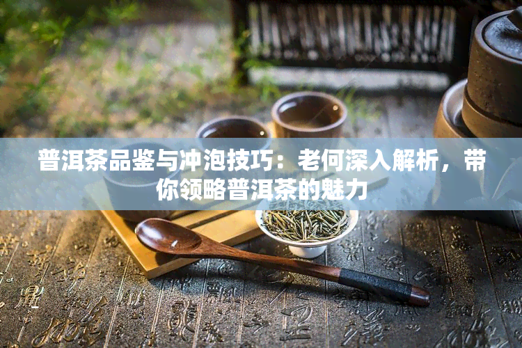 普洱茶品鉴与冲泡技巧：老何深入解析，带你领略普洱茶的魅力