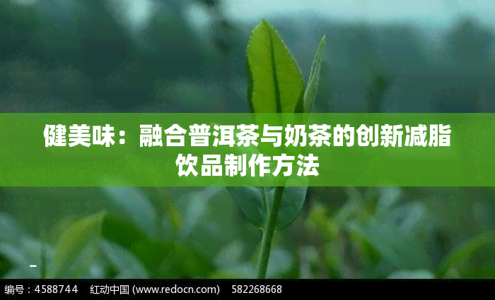 健美味：融合普洱茶与奶茶的创新减脂饮品制作方法