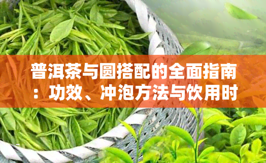 普洱茶与圆搭配的全面指南：功效、冲泡方法与饮用时间