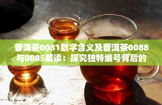 普洱茶0081数字含义及普洱茶0088与0085解读：探究独特编号背后的秘密