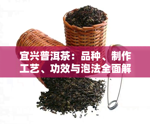 宜兴普洱茶：品种、制作工艺、功效与泡法全面解析与品鉴指南