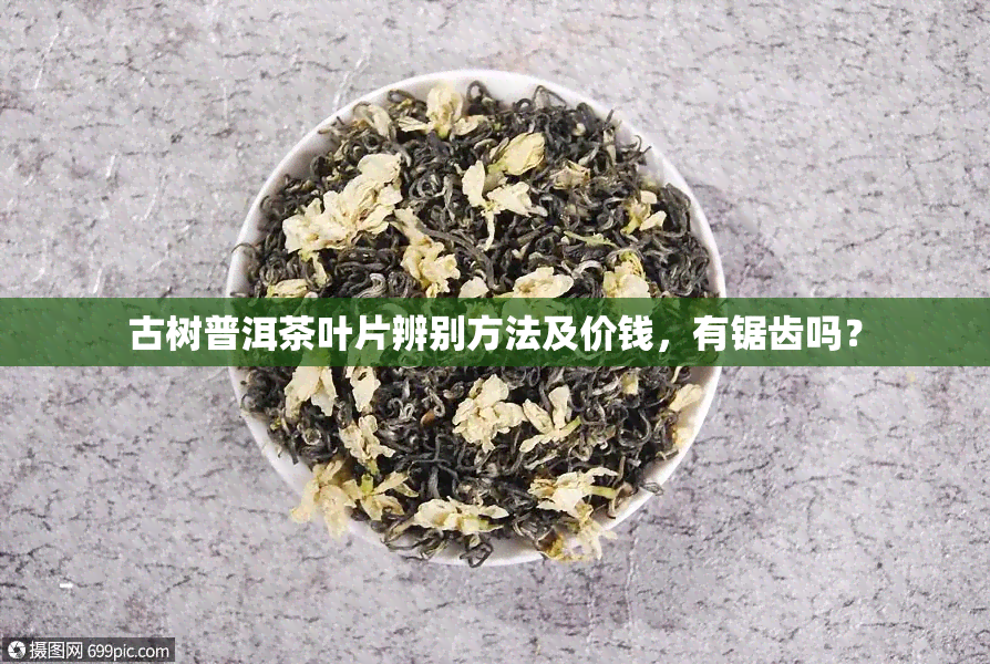 古树普洱茶叶片辨别方法及价钱，有锯齿吗？