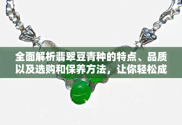 全面解析翡翠豆青种的特点、品质以及选购和保养方法，让你轻松成为翡翠专家