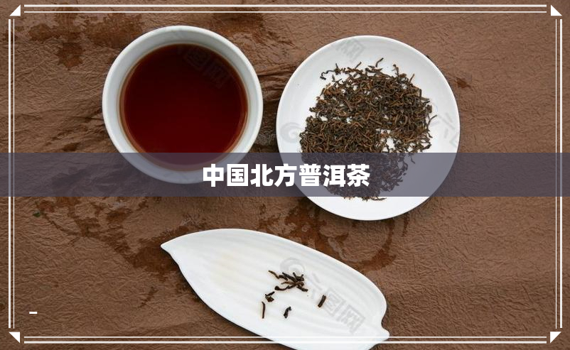 中国北方普洱茶