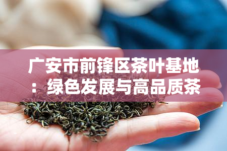 广安市前锋区茶叶基地：绿色发展与高品质茶叶的秘密基地