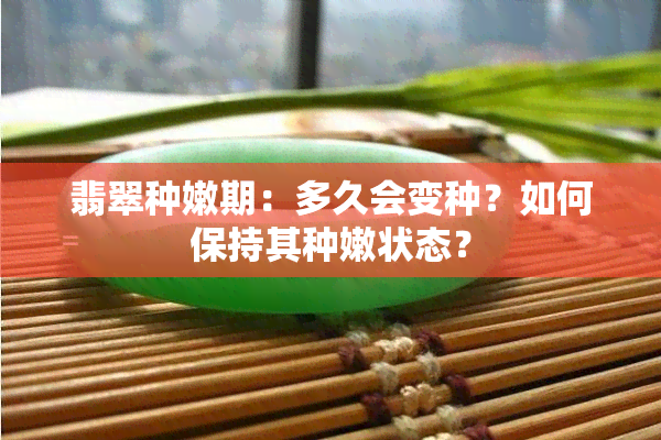 翡翠种嫩期：多久会变种？如何保持其种嫩状态？