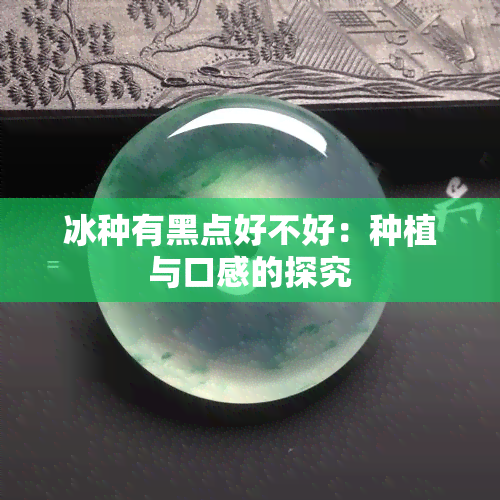 冰种有黑点好不好：种植与口感的探究