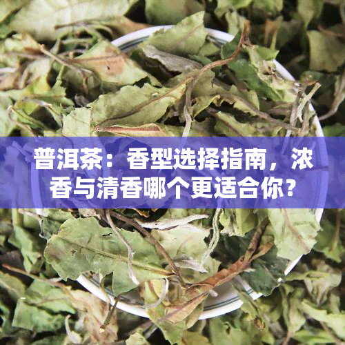 普洱茶：香型选择指南，浓香与清香哪个更适合你？