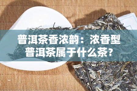 普洱茶香浓韵：浓香型普洱茶属于什么茶？