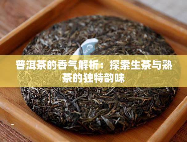 普洱茶的香气解析：探索生茶与熟茶的独特韵味