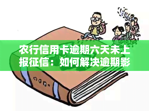 农行信用卡逾期六天未上报：如何解决逾期影响及恢复信用？