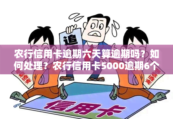 农行信用卡逾期六天算逾期吗？如何处理？农行信用卡5000逾期6个多月。