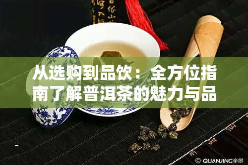 从选购到品饮：全方位指南了解普洱茶的魅力与品鉴技巧