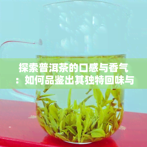 探索普洱茶的口感与香气：如何品鉴出其独特回味与浓味道