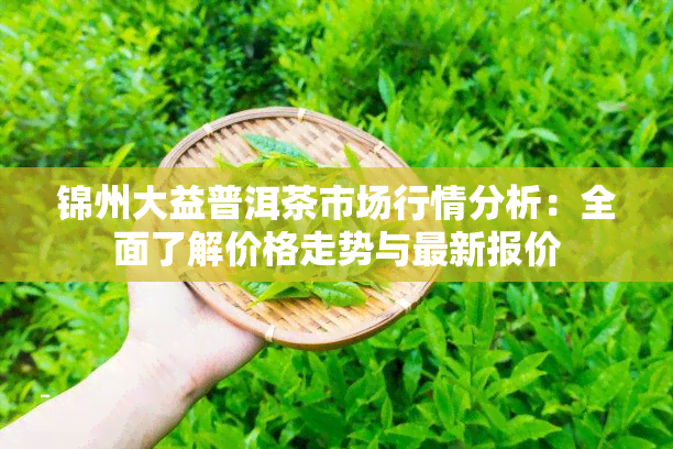 锦州大益普洱茶市场行情分析：全面了解价格走势与最新报价